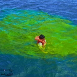 Sachet De Fluorescine 40g Dans Une Pochette étanche -Magasin Aqualunged sachet fluorescine 40 g colorant fluorescent eau aquatys pas cher palanquee sub odyssee lyon 2