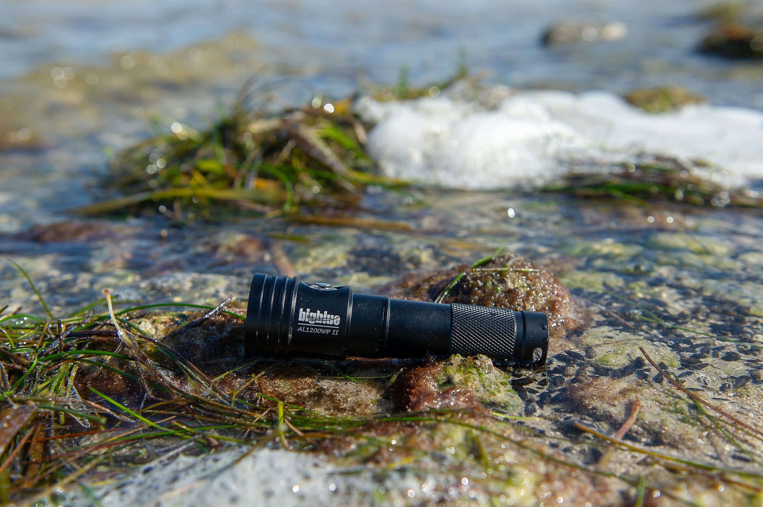 Magasin Aqualunged -Magasin Aqualunged AL1200WP II Beach min scaled