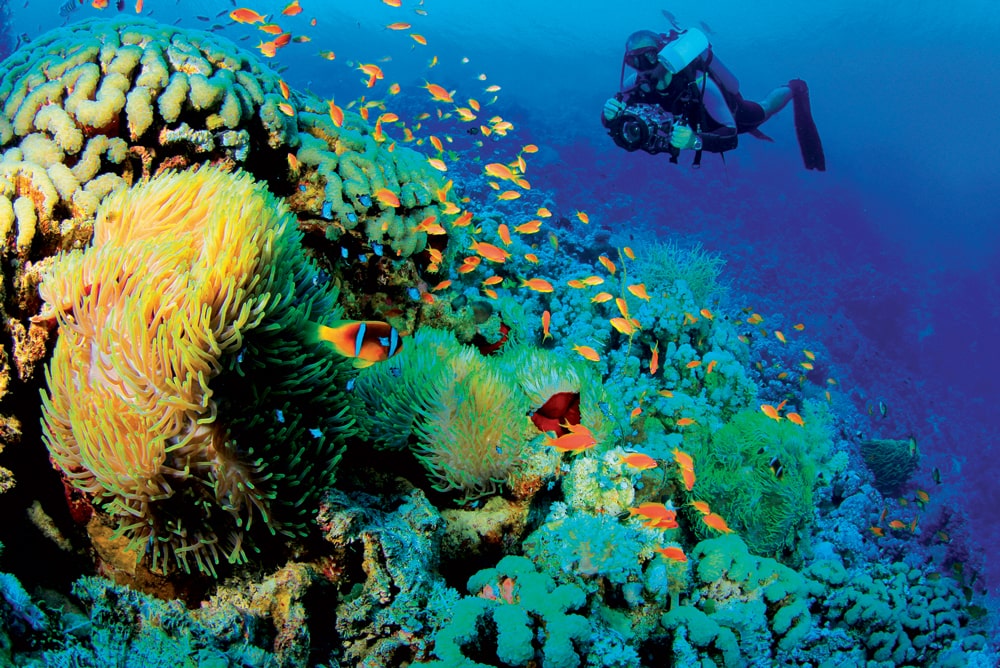 Magasin Aqualunged -Magasin Aqualunged BZ Escape Diving 15 min