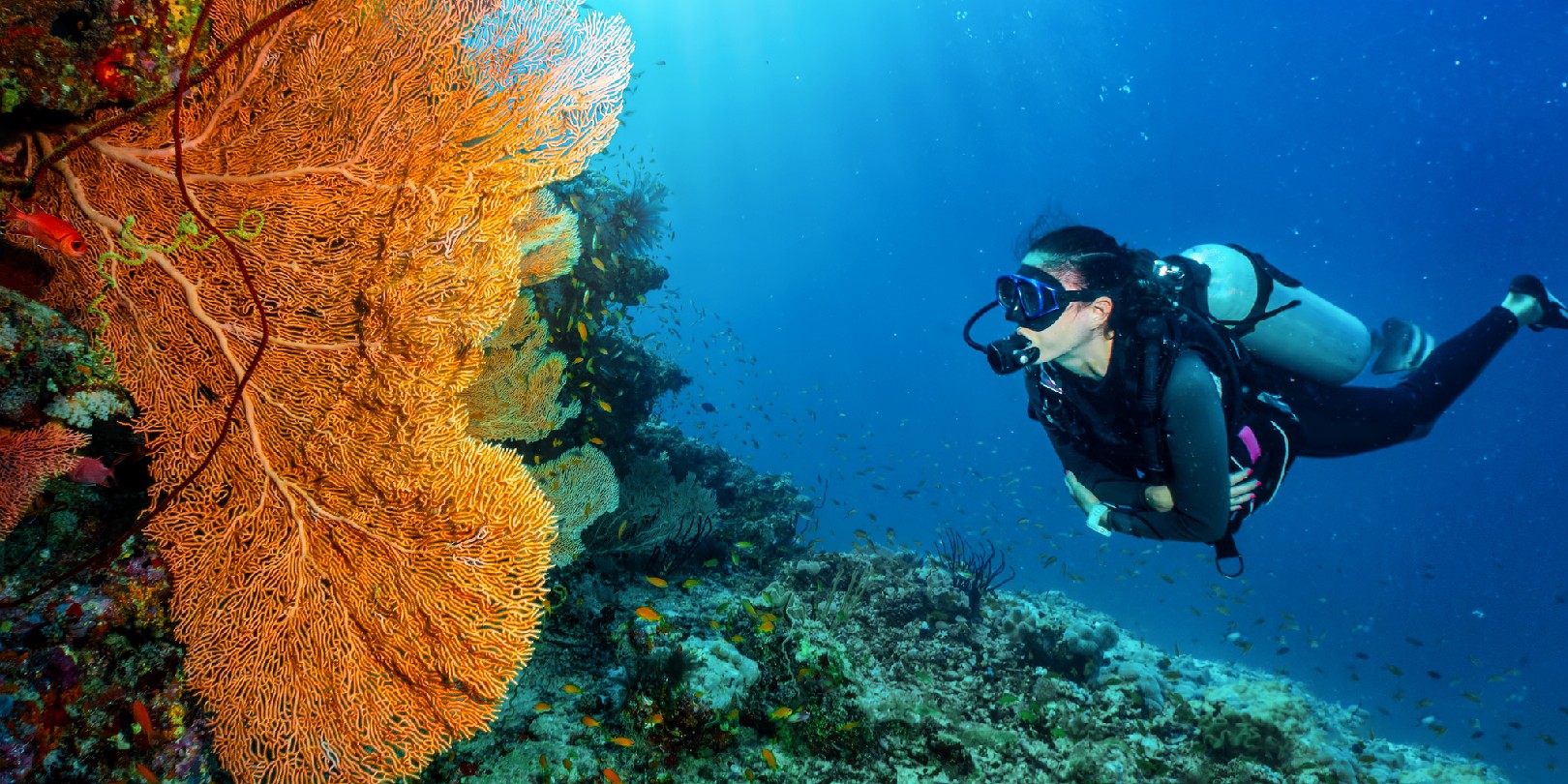 Magasin Aqualunged 2 Magasin Aqualunged -Magasin Aqualunged deep sea diving sail